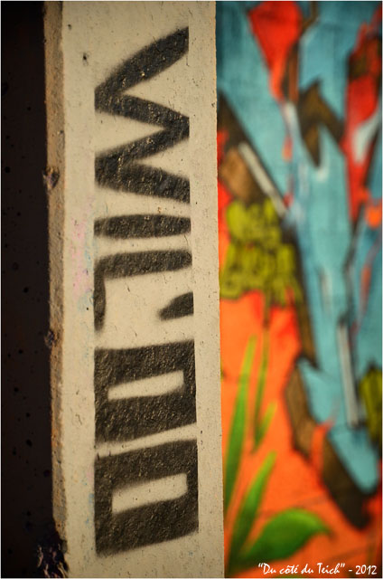 BLOG-DSC_18282-Will'oo et tag Bacalan