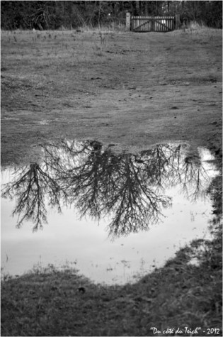 BLOG-DSC_18331-portail et reflets arbres N&B