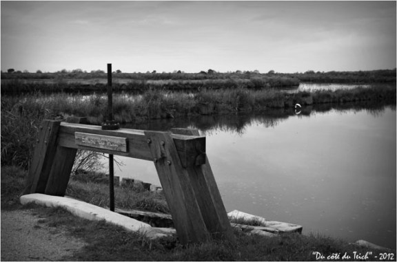 BLOG-DSC_18338-écluse du pont domaine de Certes N&B