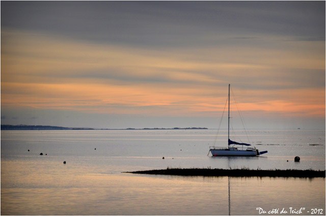 BLOG-DSC_18525-voilier et bassin d'Arcachon depuis port d'Arès