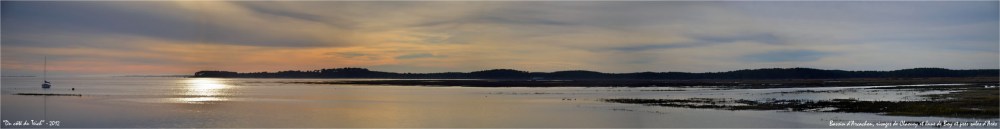 BLOG-DSC_18546-51-rivages Claouey et Jane de Boy et prés salés d'Arès