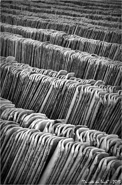 BLOG-DSC_18856-rangées tuiles à chauler N&B