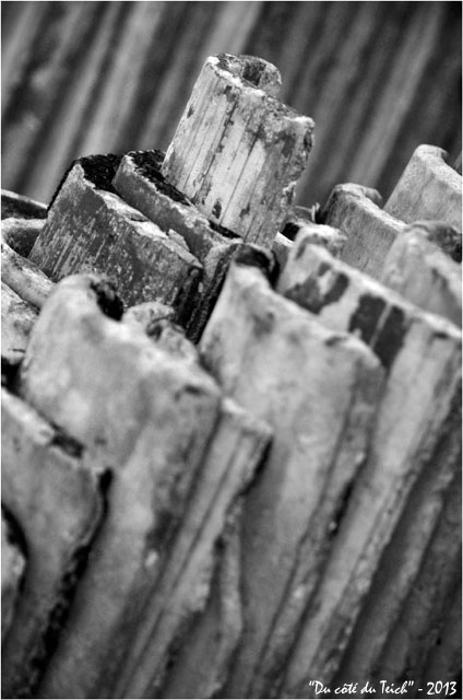 BLOG-DSC_18858-rangées tuiles à chauler N&B