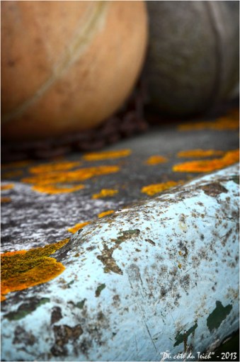 BLOG-DSC_18884-bouées et coque bateau