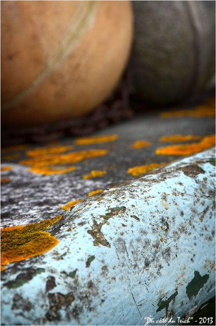 BLOG-DSC_18884-bouées et coque bateau