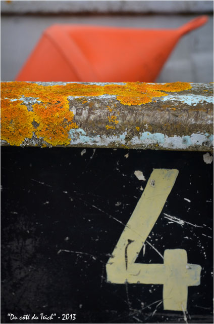 BLOG-DSC_18888-coque 4 et bouée orange