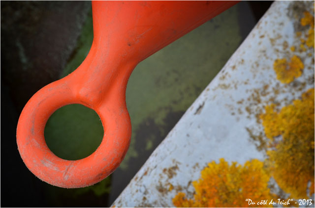 BLOG-DSC_18890-anneau bouée et fond de coque