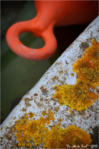 BLOG-DSC_18892-coque et anneau bouée BLOG-DSC_18892-coque et anneau bouée