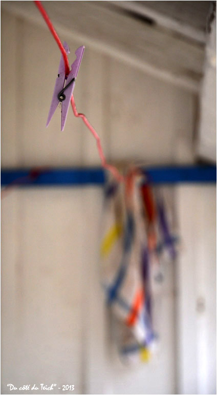 BLOG-DSC_19048-pince à linge et torchon sale l'Herbe