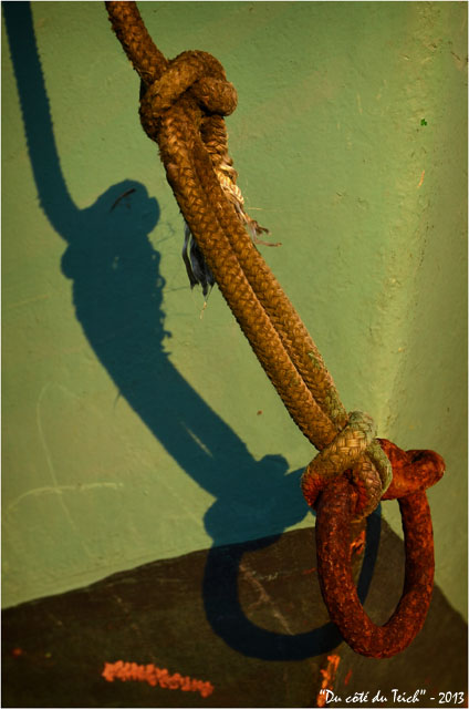 BLOG-DSC_19229-anneau et bouts amarrage proue Nils