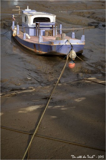 BLOG-DSC_19363-Tango chaland pervanche port la Teste marée basse BLOG-DSC_19363-Tango chaland pervanche port la Teste marée basse