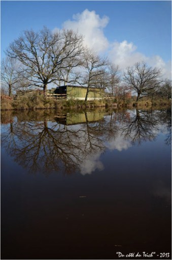 BLOG-DSC_19482-poste affût réserve ornitho le Teich