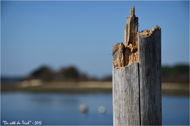 BLOG-DSC_19613-piquet jetée et rivage Arès