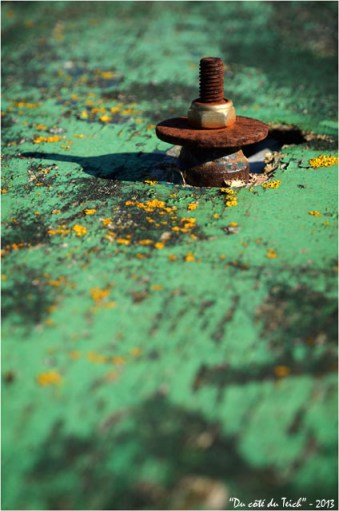 BLOG-DSC_19636-vieille peseuse ostréicole