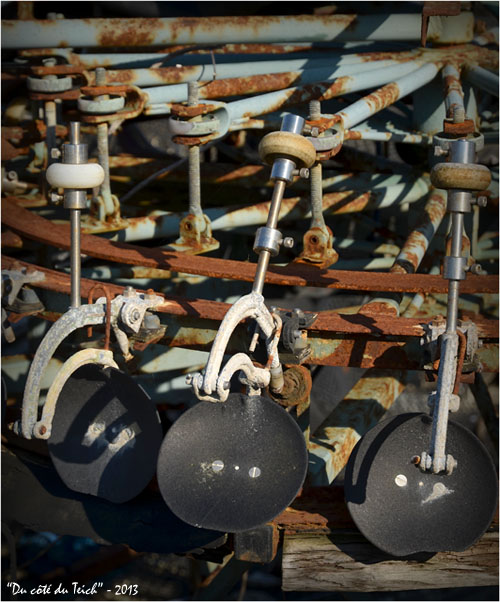 BLOG-DSC_19668-vieille peseuse calibreuse ostréicole