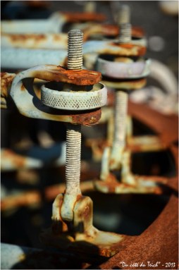 BLOG-DSC_19670-vieille peseuse calibreuse ostréicole