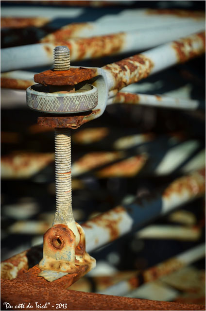 BLOG-DSC_19673-vieille peseuse calibreuse ostréicole