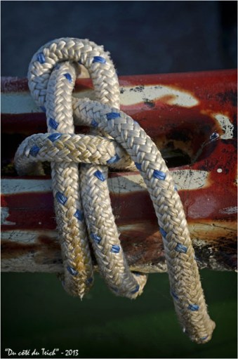 BLOG-DSC_19800-noeud annexe BLOG-DSC_19800-noeud annexe