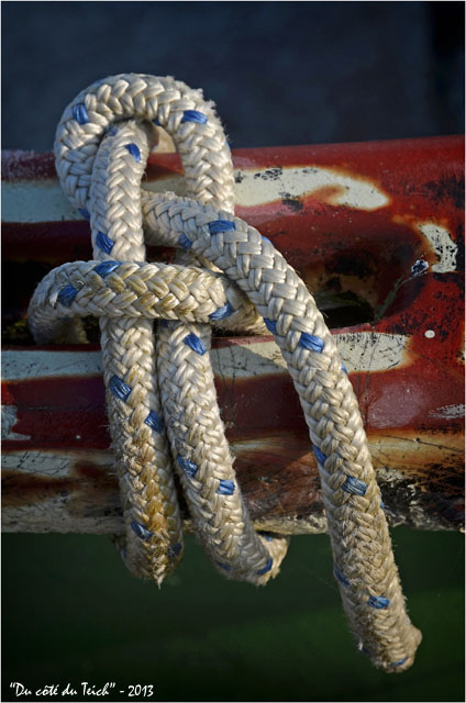 BLOG-DSC_19800-noeud annexe