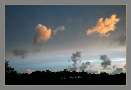 CP-DSC_1789-NUAGES JAUNES