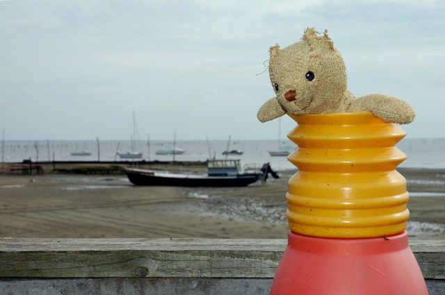 CP-DSC_2776-ours marin