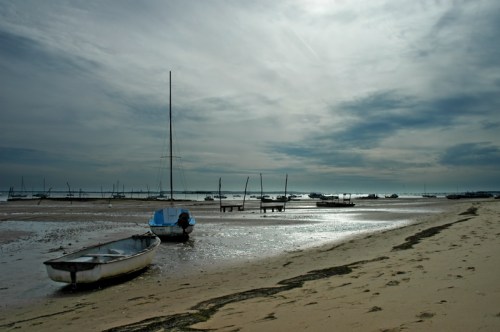 CP-DSC_2789-sable argent