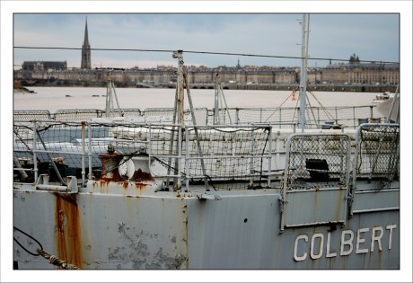 CP-DSC_3767-coque Colbert