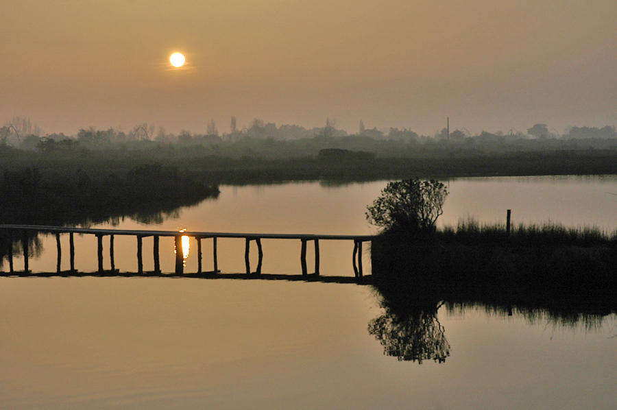 CP-DSC_4032-soleil sur passerelle