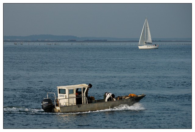 CP-DSC_4486-plate & voilier