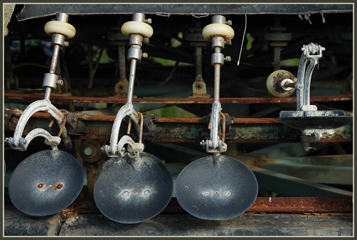 CP-DSC_5595 CP-DSC_5595-calibreuse