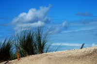 CP-DSC_9564-oyats & ciel