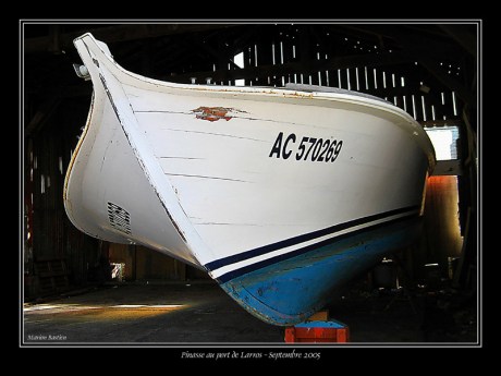 CP-Img_1221-chantier pinasse 2