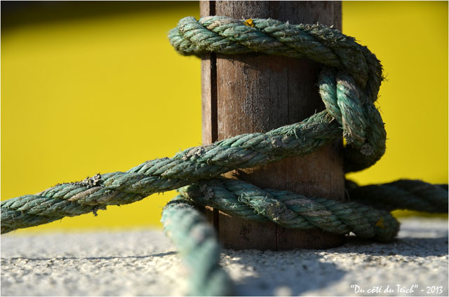 BLOG-DSC_19854-flotteur balise et coque jaune BLOG-DSC_19854-flotteur balise et coque jaune