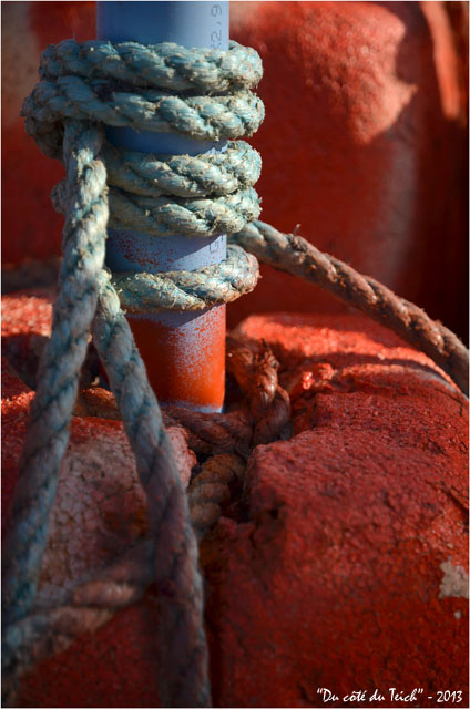 BLOG-DSC_19883-flotteur rouge balise