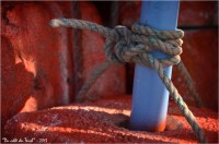 BLOG-DSC_19885-flotteur rouge balise