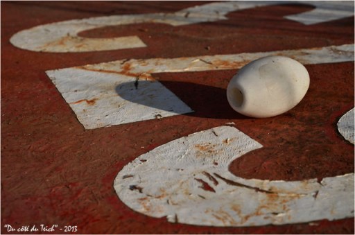 BLOG-DSC_19891-petit flotteur blanc sur tole BLOG-DSC_19891-petit flotteur blanc sur tole