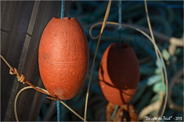 BLOG-DSC_19895-flotteurs et filet