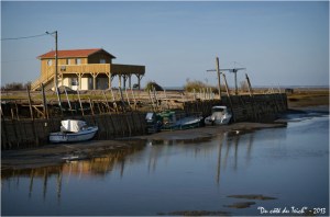 BLOG-DSC_19915-nouvelle cabane port Meyran centre