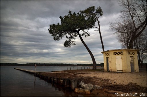BLOG-DSC_19972-petit recoin et pins lac Sanguinet BLOG-DSC_19972-petit recoin et pins lac Sanguinet