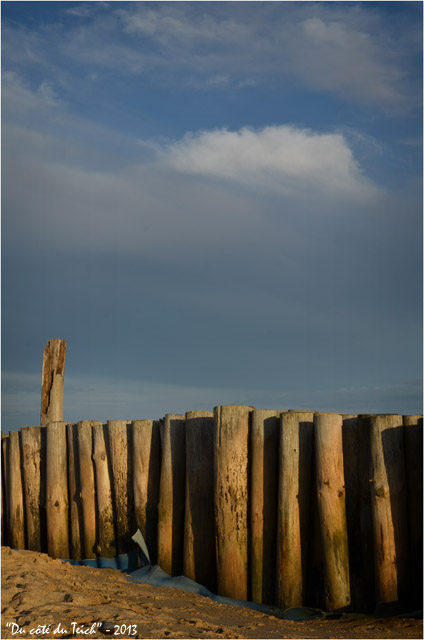 BLOG-DSC_20040-rondins et nuage Audenge