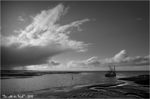 BLOG-DSC_20272-Dragon avant la giboulée N&B BLOG-DSC_20272-Dragon avant la giboulée N&B