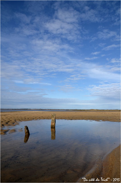 BLOG-DSC_20356-rivages le Teich vers embouchure Leyre
