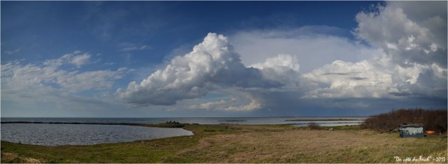 BLOG-DSC_20459-60-61-tonne de chasse boucle Gujan marée haute