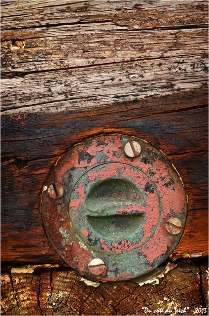 BLOG-DSC_20494-coque vieille plate