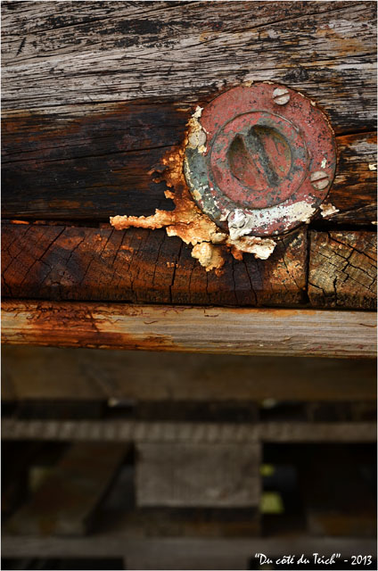 BLOG-DSC_20498-coque vieille plate sur palettes