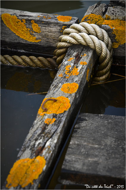 BLOG-DSC_20504-cordage quai bois marée haute