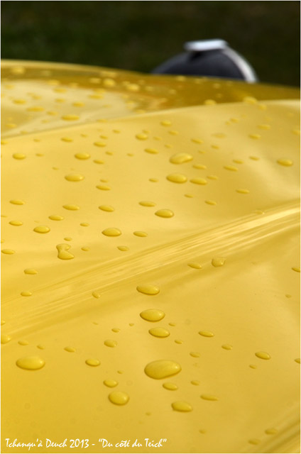 BLOG-DSC_20753-2CV Charleston jaune Tchanqu'à Deuch 2013 le Teich