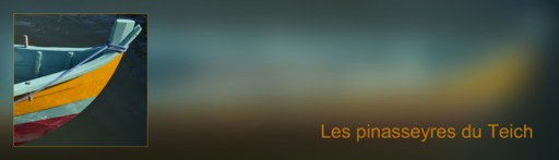 Asso-DSC_06709-bannière pinasseyres fond flou 2 Arial_hf