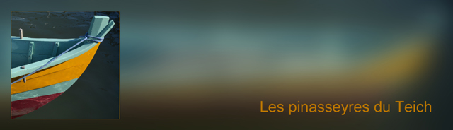 Asso-DSC_06709-bannière pinasseyres fond flou 2 Arial_hf