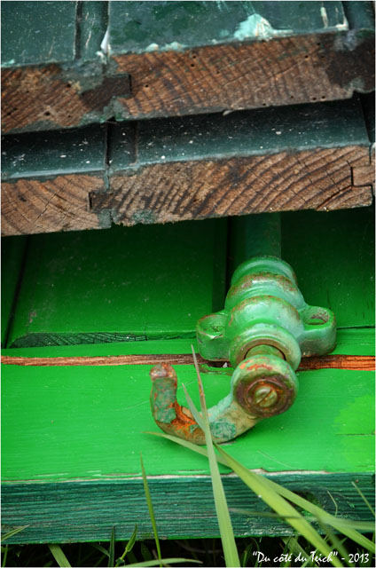 BLOG-DSC_20835-volets verts empilés dans l'herbe